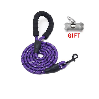 Pet Dog Leash Walking Training Leash