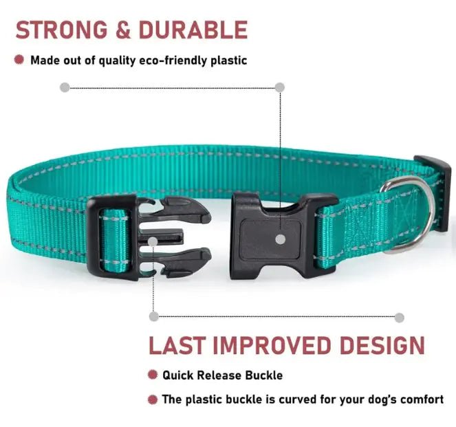 Adjustable Strap Collar | Dog Collar