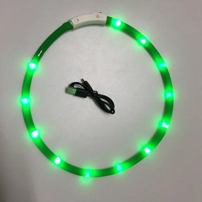 Luminous Pet Collar | DogsyDog