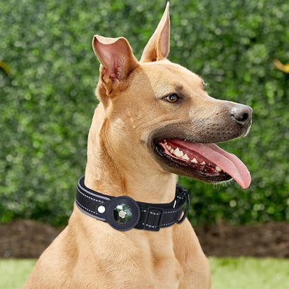 Airtag Collar | Dog Security