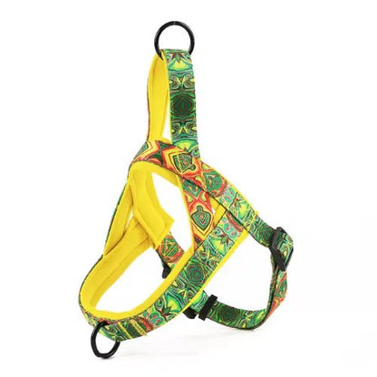 Dog Harness | with Leash