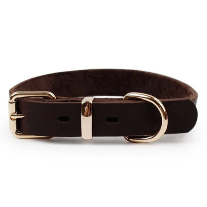 Premium Leather Collar | Dog Collar