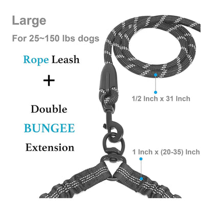 Dual Dog Leash | Tangle-Free Walks for Two Dogs