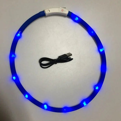 Luminous Pet Collar | DogsyDog