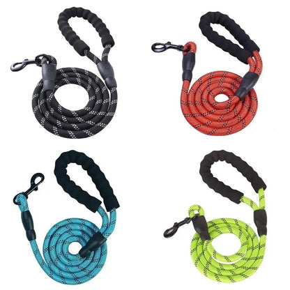 Pet Dog Leash Walking Training Leash