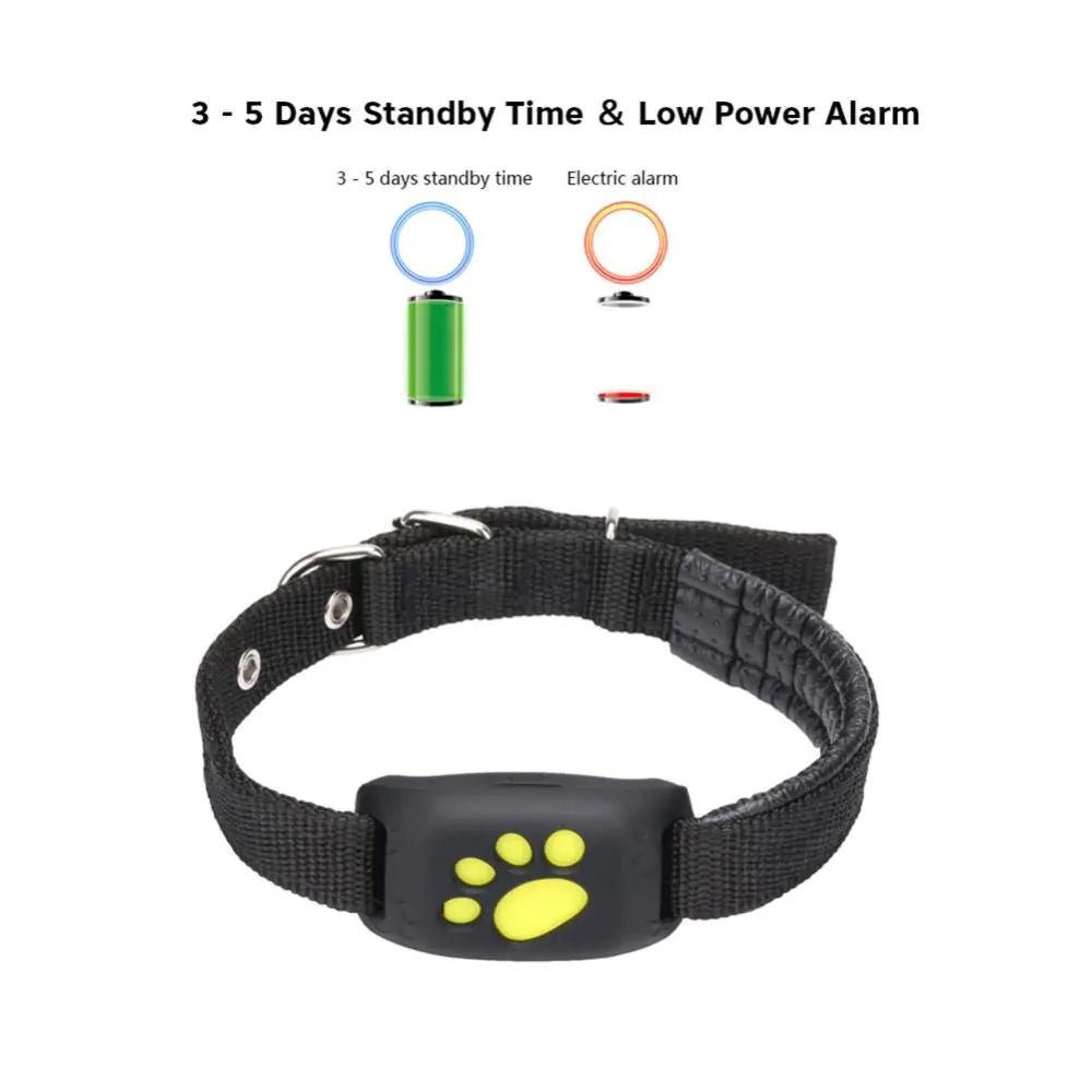 GPS Tracker Collar | Dogsy Dog Tracker